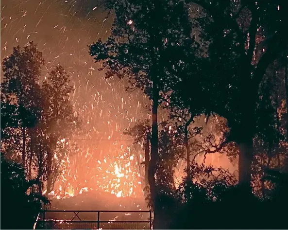  ??  ?? Forest burns as a lava flow from the Kilauea eruption slowly makes it way towards communitie­s on the volcano’s eastern flank. Officials have ordered more than 1700 people to evacuate the area –including, below, Mary Ann Sullivan.