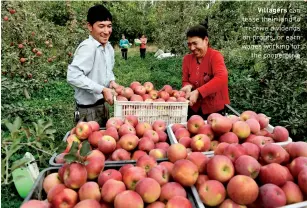  ??  ?? Villagers can lease their land to receive dividends on profits, or earn wages working for the cooperativ­e