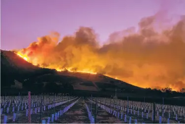  ?? Peter DaSilva / Special to The Chronicle ?? Flames roared through hills above the Silverado Trail as high winds whipped the Atlas Fire, one of last month’s Wine Country blazes; the fires’ lingering smoke threatened to taint grapes yet to be harvested.