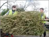  ?? MATT BATES — ENTERPRISE-RECORD FILE ?? Boy Scouts Ian James, left, and Reilly Carter unload a Christmas tree from a trailer Jan. 11, 2020, in Chico.