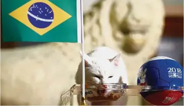  ??  ?? Psychic cat: Achilles the cat, one of the State Hermitage Museum mice hunters, attempts to predict the result of the 2018 FIFA World Cup match between Brazil and Costa Rica during an event in Saint Petersburg, Russia.— Reuters