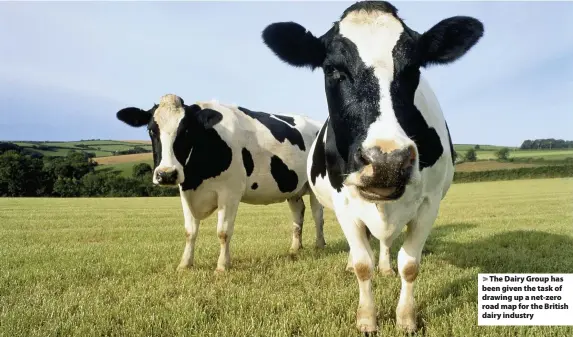  ??  ?? > The Dairy Group has been given the task of drawing up a net-zero road map for the British dairy industry