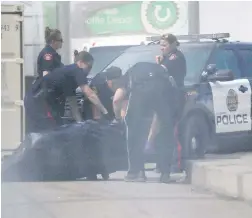  ?? LEAH HENNEL ?? Police and bylaw officers remove a deceased dog, a Jack Russell named Trip, after it was mauled to death outside the Traveller’s Inn Thursday.