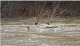  ?? RICH ROLEN/SPECIAL TO THE MORNING CALL ?? Jordan Park in Allentown is flooded Jan. 10.