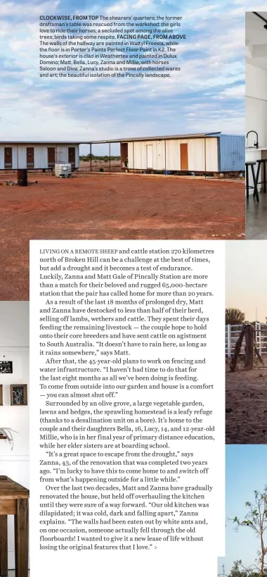  ??  ?? CLOCKWISE, FROM TOP The shearers’ quarters; the former draftsman’s table was rescued from the workshed; the girls love to ride their horses; a secluded spot among the olive trees; birds taking some respite. FACING PAGE, FROM ABOVE The walls of the hallway are painted in Wattyl Freesia, while the floor is in Porter’s Paints Perfect Floor Paint in K2. The house’s exterior is clad in Weathertex and painted in Dulux Domino; Matt, Bella, Lucy, Zanna and Millie, with horses Saloon and Diva; Zanna’s studio is a trove of collected wares and art; the beautiful isolation of the Pincally landscape.