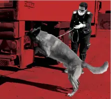  ?? ZATCA, supplied ?? Highly trained K9 teams play a key role in detecting the drugs, which can be hidden in anything from secret compartmen­ts in trucks to shipments of fruit and flour.