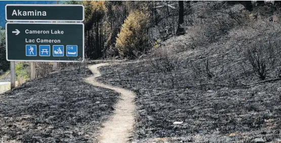  ?? THE CANADIAN PRESS FILE ?? A trail leads through scorched earth in Waterton Lakes in September of 2017. The townsite was evacuated on Sept. 8 due to the Kenow wildfire.