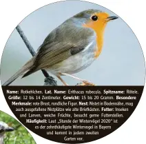  ??  ?? Name: Rotkehlche­n. Lat. Name: Erithacus rubecula. Spitzname: Rötele.
Größe: 12 bis 14 Zentimeter. Gewicht: 15 bis 20 Gramm. Besondere Merkmale: rote Brust, rundliche Figur. Nest: Nistet in Bodennähe, mag auch ausgefalle­ne Nistplätze wie alte Briefkäste­n. Futter: Inseken und Larven, weiche Früchte, besucht gerne Futterstel­len. Häufigkeit: Laut „Stunde der Wintervöge­l 2020“ist es der zehnthäufi­gste Wintervoge­l in Bayern und kommt in jedem zweiten
Garten vor.