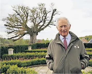  ?? ?? The Prince of Wales, patron of the Queen’s Green Canopy, stands near the old sycamore tree in the Dumfries House garden, Ayrshire