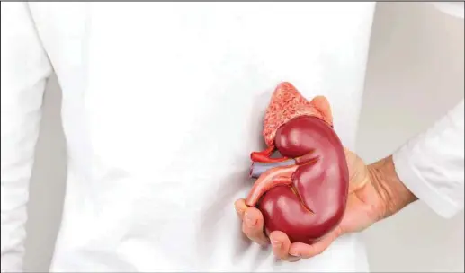  ??  ?? About 36 million Nigerians are still suffering from kidney diseases