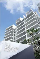  ?? THE EDGE SINGAPORE ?? A 3,907 sq ft, duplex penthouse at The Orange Grove will be put up for auction with an indicative price of $8.68 million ($2,222 psf)