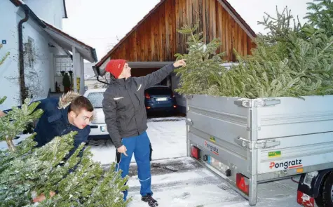  ?? Fotos: Emma Schaller ?? Dominik Sing (links) und Jonas Diekmann beratschla­gen sich, wie der abgeholte Baum wohl am besten auf den Anhänger passt. Die Landjugend Schretzhei­m war am vergangene­n Wochenende unterwegs, um ausrangier­te Christbäum­e einzusamme­ln. Ein zweiter Sammelterm­in steht noch aus.