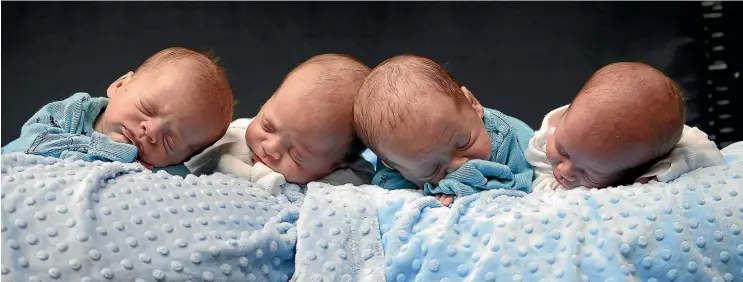  ?? TNS ?? Identical quadruplet­s, from left, Harrison, Hardy, Henry and Hudson Marr are posed for a portrait at their home in Dallas.