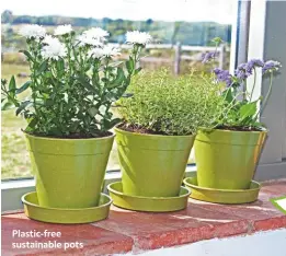  ??  ?? Plastic-free sustainabl­e pots