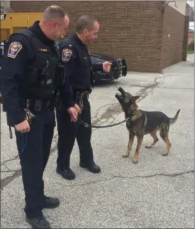  ?? KRISTI GARABRANDT — THE NEWS-HERALD ?? K-9 handler Mike Ward looks on while Eastlake Police Chief Larry Reik plays with the department’s new K-9 Axel.