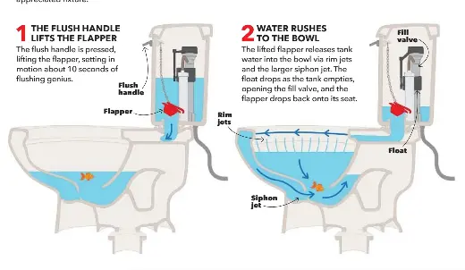 How a Toilet Works - PressReader