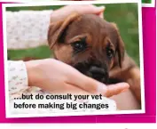  ?? ?? …but do consult your vet before making big changes