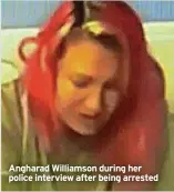 ?? ?? Angharad Williamson during her police interview after being arrested