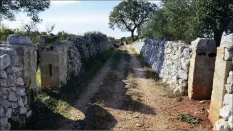  ?? CAIN BURDEAU VIA AP ?? A typical country lane is seen in the Valle d’Itria in Italy’s Puglia region.