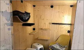  ??  ?? Cet «hôtel de luxe» est capable d’héberger une trentaine de chats.