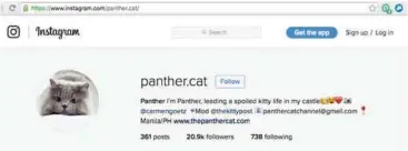  ??  ?? Panther’s Instagram page: 20,000 followers...and counting!