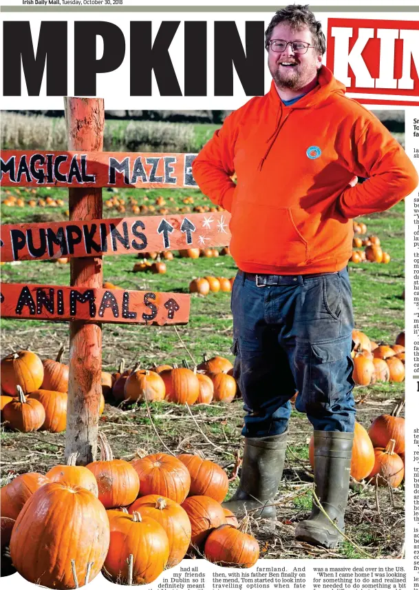  ??  ?? Smashing pumpkins: Tom Dillon at the family farm in Co. Meath