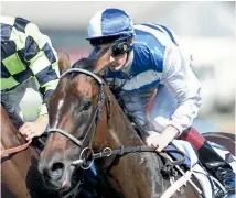  ?? PHOTO: NEWS LTD ?? Flashback: Australian jockey Scott Seamer aboard Ethereal in 2001.