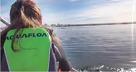  ??  ?? Acercamien­to. El video muestra cómo la pareja se aproxima a las ballenas.