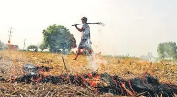  ?? BHARAT BHUSHAN /HT ?? Though harvesting is still to pick up in the Malwa belt, farmers are resorting to stubble burning in other parts of the state.