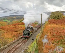  ?? ?? England 0-4-0STT Welsh Pony heads a empty slate train into Ddualt on Saturday, November 3. SAM YEELES