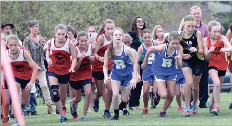  ??  ?? More than 450 runners took part in the largest middle school meet ever held at Heritage last week. (Photo by Scott Herpst)