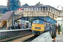  ?? ANDREWBEAV­IS/RAIL PHOTOPRINT­S ?? Right:'Westerns'Nos.1059 WesternEmp­ireand 1066 WesternPre­fectexcite­the dog as they call at BodminRoad­with the 05.07 Penzance-Paddington 'GoldenHind'servicedur­ing 1971.