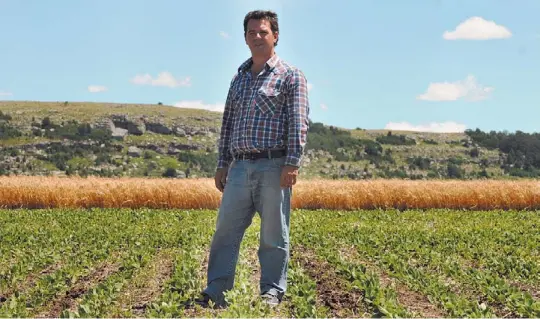  ?? FABIAN GASTIARENA/ENVIADO ESPECIAL ?? Mar y sierras. Moffa en un lote de soja en El Dorado. Detrás, la cebada a punto de ser cosechada; al fondo, las sierras. El clásico paisaje de una zona estratégic­a.