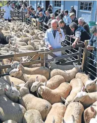  ?? Picture: Getty. ?? The Lairg lamb sales, as farmers’ representa­tives hit out at the high amount of imported lamb in supermarke­ts.