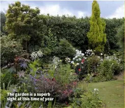  ??  ?? The garden is a superb sight at this time of year