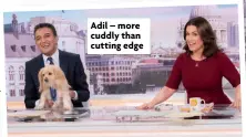  ?? ?? Adil – more cuddly than cutting edge