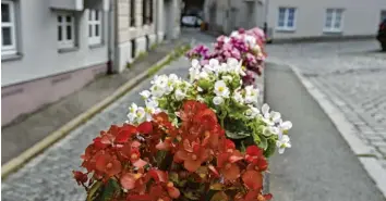  ?? Foto: Piet Bosse ?? Verschöner­ung am Mauerberg: Mauerblümc­hen bringen Farbe ins Stadtbild.