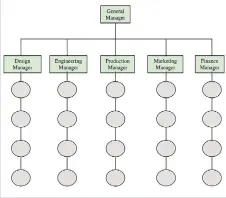  ??  ?? Figure 1: Typical Functional Organisati­onal Structure