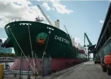  ??  ?? The Chestnut, a cargo ship from South America, unloads raw sugar. The global glut has hit Brazil’s economy hard.