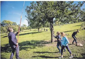  ?? FOTO: ANDREAS ENDERMANN ?? Eine Streuobstw­iese in der Urdenbache­r Kämpe, immer ein Erlebnis für die ganze Familie.