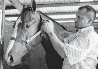  ?? Staff file photo ?? Judd Kearl is fighting to clear his name as a horse trainer after his winning horses tested positive for prohibited drugs and the veterinari­an he says is responsibl­e disappeare­d.