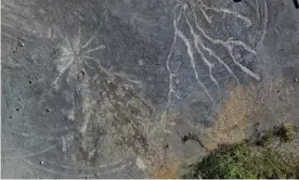  ?? Photograph: William Stein/Christophe­r Berry/PA ?? The find dates to about 2-3m years older than the previously oldest known fossil forest.