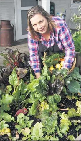  ??  ?? Amber Ridge owner Cindy Cross will host a cooking demonstrat­ion at the field days using produce grown on her Apsley property. Picture: SARAH SCULLY