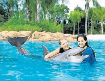  ?? SEAWORLD ORLANDO ?? The government’s suggested rule changes to regulation­s of captive marine animals include requiring “swim with dolphin” programs to comply with Animal Welfare Act standards.