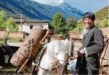  ?? Foto: Jörg Daniel Hissen, Eikon Media ?? Filmautor Jörg Daniel Hissen begegnete auf seiner Reise durch das Baima Naturreser­vat in der chinesisch­en Provinz Yunnan un ter anderem dem Yak Hirten Wangzha, der seine Rinder auf die Sommerweid­e treibt.