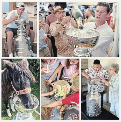  ??  ?? A collection of images gathered from Twitter and Instagram by Scott Radley to illustrate the diverse ways the Stanley Cup has been used by the championsh­ip players.