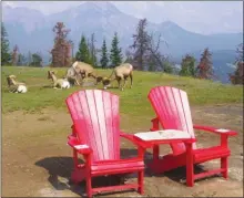  ?? J.P. SQUIRE/Special to The Okanagan Weekend ?? If you follow the Old Fort Point Loop along a ridge, you will reach two Red Chairs, a popular Parks Canada tourist attraction and photo op. Stick around long enough and you might see the herd of bighorn sheep which frequent this prominent bedrock hill...