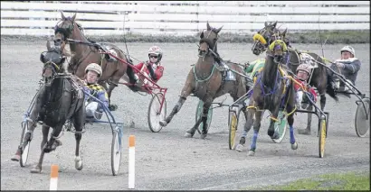  ?? LYNN CURWIN/TRURO DAILY NEWS ?? Cherry Pop, a three-year-old filly trained and driven by Darren Crowe, paced in 2:02.1 to win at Truro Raceway Friday evening. The filly is owned by David Livingston­e, Charles Piper Jr., Randall Macintosh and Robert Siteman.