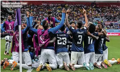  ?? ?? Ecuador celebrate Enner Valencia’s equaliser
Holland Ecuador Senegal Qatar