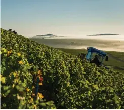  ??  ?? Dans la Loire, au coeur du vignoble sancerrois, le Domaine Jean-Max Roger. Une famille issue d’une lignée de vignerons depuis le XVIIe siècle.